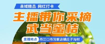 直播丨2023十堰电商直播节—主播带你采摘武当蜜桔