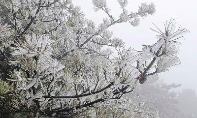 阴天、小雨、高山地区雨夹雪！这个周末十堰冷冷冷！