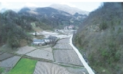 走在乡村振兴的大道上·产业兴村⑪良种配良法 土豆变“金豆”——看塘坪村如何把小土豆做成大产业