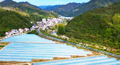 房县五谷庙村：“三色为源”激发和美乡村建设