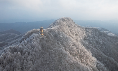 山水车城 宜居十堰 | 玉树琼枝 如梦似幻