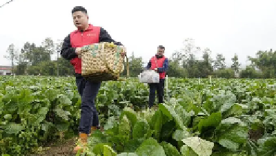 新华社 | 丹江口：蔬果“园林”助农增收