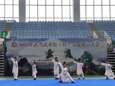 以武会友 切磋技艺！2023年武当武术馆（校）交流展示大会开幕