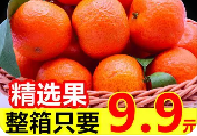 标价14.6元10斤的砂糖橘实为1斤装，误导消费何时休？