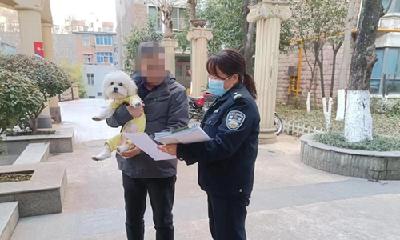 为期一个月，张湾集中整治违规养犬！