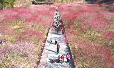 春节假期十堰旅游市场亮点纷呈 民俗体验游成热点