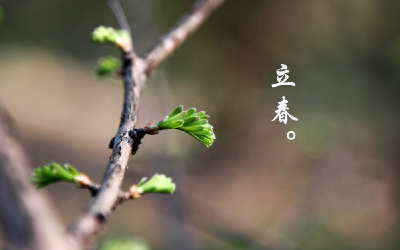 今日立春 | 万物复苏时，东风始复来