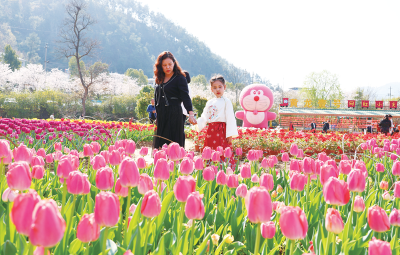 张湾区做大做强花卉产业 为乡村旅游锦上添“花” 