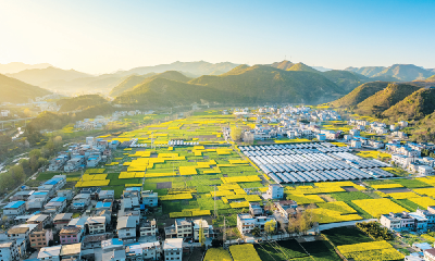 天河郧西 一路繁花