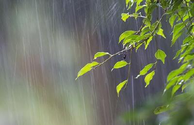 五一假期“两头晴中间雨” 降雨期间伴有明显降温