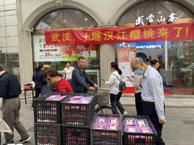 1500份汉江樱桃走进武汉，被十堰老乡认领一空