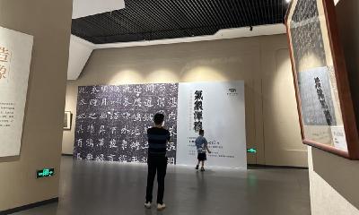 这些展览在市博物馆和郧阳区博物馆开展，市民可免费参观