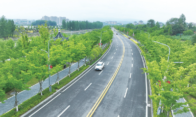 一路皆绿意 处处是风景