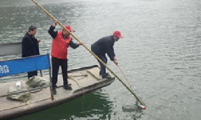 文明河流 | 竹山县楼台乡：聚焦文明河流建设 守护绿色家园