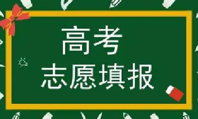 网红机构3小时“收割”2亿元，高考规划师靠谱吗？