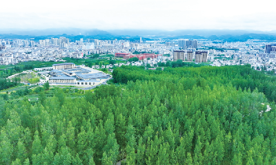 建设森林城市 拥抱绿色生活