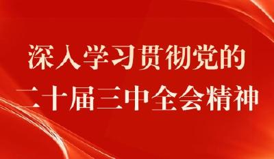 茅箭区掀起学习贯彻党的二十届三中全会精神热潮 奋力建设小流域综合治理先行区