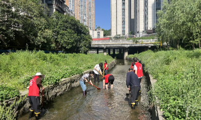 车城路街道蓝山郡社区： 以共同缔造理念共护“最美河湖”