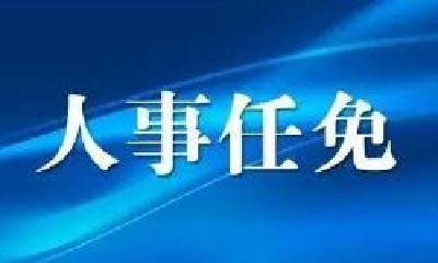 十堰市最新人事任免