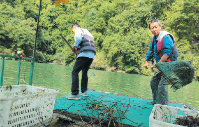 清漂护碧水 守护“生态绿”