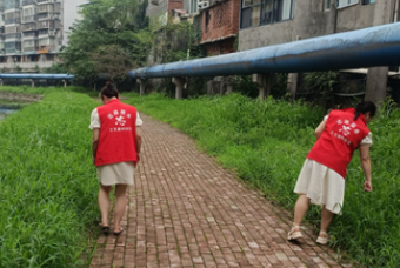 车城路街道工艺新村社区：常态化巡河 守护辖区碧水长廊