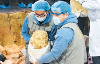 “郧县人”写进人教版初中历史教科书