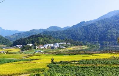 以“和美”之笔绘就乡村幸福底色 ——竹山县文峰乡学习运用“千万工程”经验建设和美乡村 