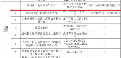 “数字武当”项目获评2024年“数据要素×”大赛湖北分赛优秀项目