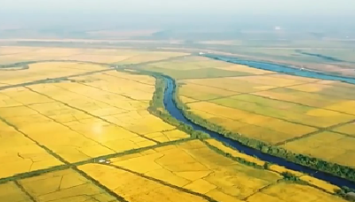 寒露时节好“丰”景！全国秋粮收获进入高峰期 进度过四成