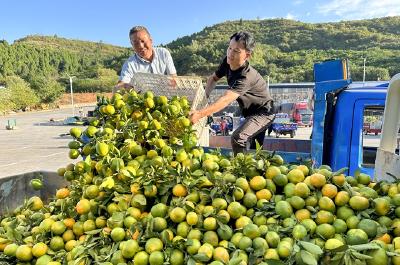 湖北日报头版关注：丹江口10万果农“链上”大市场