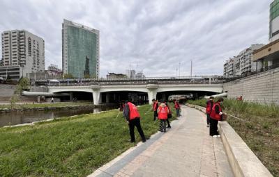 市文旅局持续发力助推文明城市建设工作