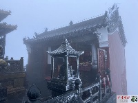 仿若仙境！武当山出现雾凇奇景