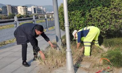 市城管执法委：聚焦市民关切 办理民生实事