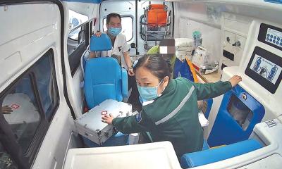 “十一”假期我市120急救中心接野蜂蜇伤求助电话增多 秋天“蜂”狂季出游要当心