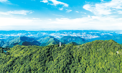 “牢记嘱托护碧水·调水源头这十年”系列报道①|荒山披绿装 青山变金山