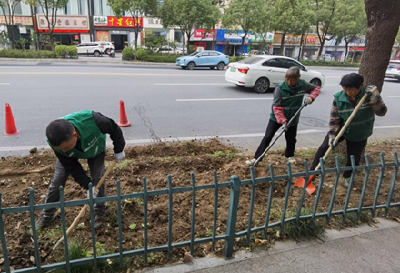 城市“颜值”不断刷新！十堰北京中路绿化带花池微改造完工