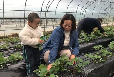 能人赵华林！白手起家带领村民致富，回村创业干得风生水起