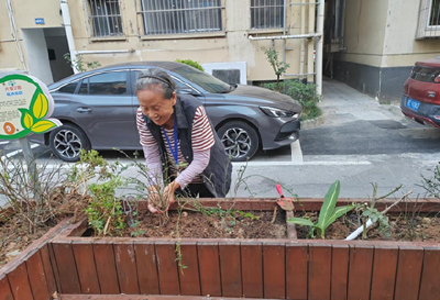 六堰社区：共享共管“小花圃” 打造晚年“花漾生活”