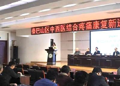 十堰市中西医结合医院：行业大咖齐聚 提升我市针灸学科技水平
