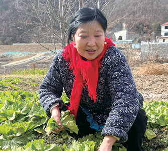 王丹株的“村房短住”火啦 年逾五旬下乡创业，让城里人圆田园梦