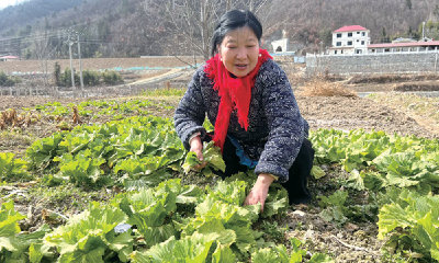 王丹株的“村房短住”火啦 年逾五旬下乡创业，让城里人圆田园梦