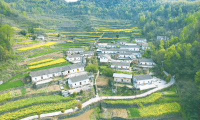 美丽十堰我的家系列报道⑩ | 田畦舒春光 古村寄乡愁