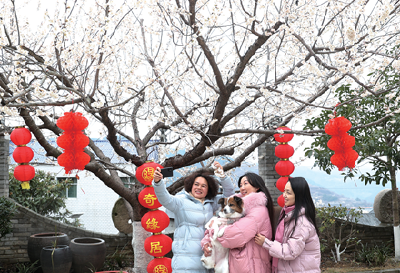 特别报道 | 镜像·枝头春意闹
