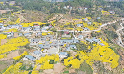 美丽十堰我的家系列报道⑫ | 独山存古韵 沃野绘丰年