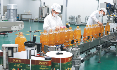 一滴菜籽油 飘香致富路
