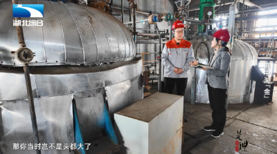 《是这个理》：硅中淘“金”