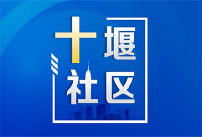 张湾区汉江路街道七里垭村委会：照亮回家安全路 快速响应解民忧