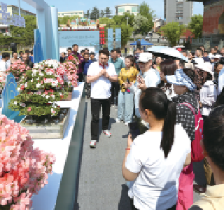 到玉虚宫赏盆景 活动将持续至5月18日每天500个免费预约名额