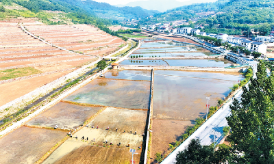 郧阳区：灌区改造引来“源头活水”  