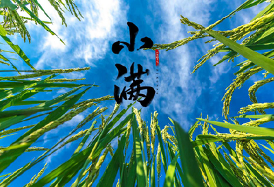 二十四节气 | 月满则亏，水满则溢  小满节气蕴含着大学问